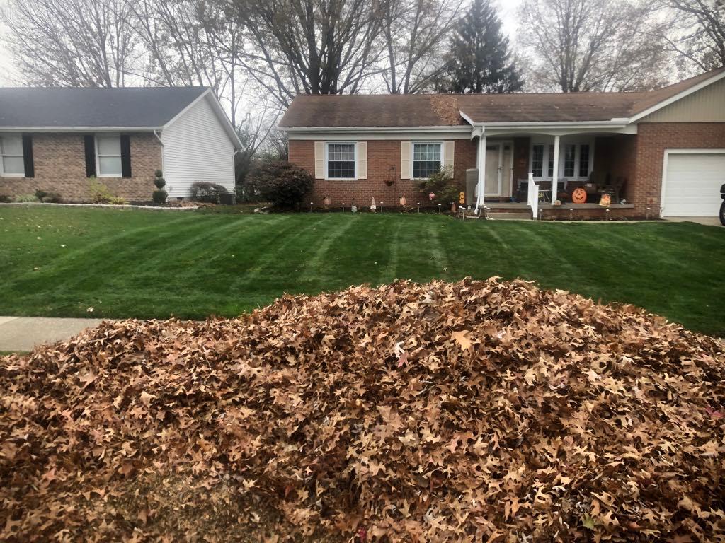 Lawn mowing and leaf cleanup